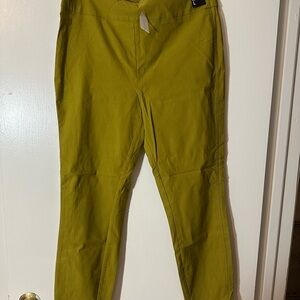 New York & Company Women's Mustard Chinos